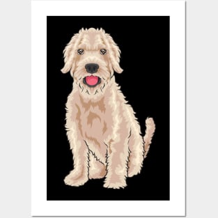 A super cute Goldendoodle looks at you. Posters and Art